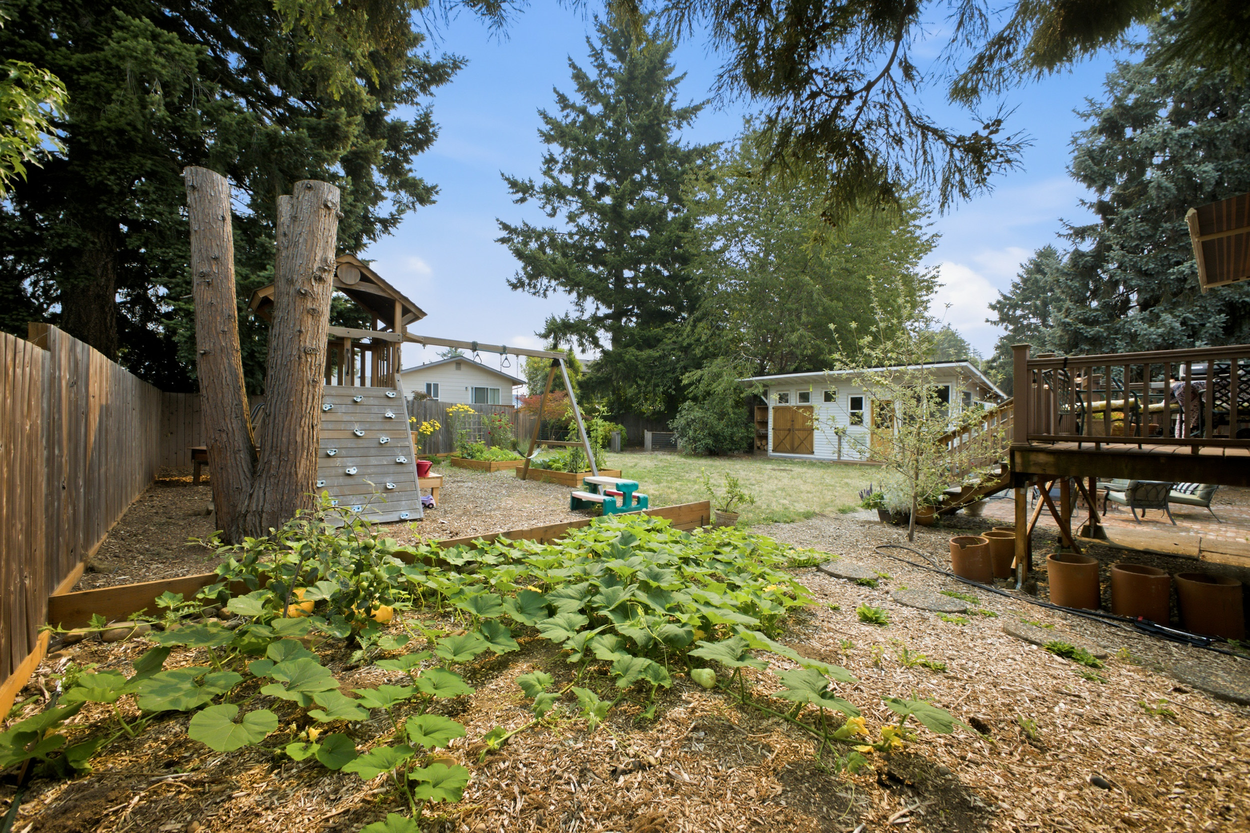 Photo-14