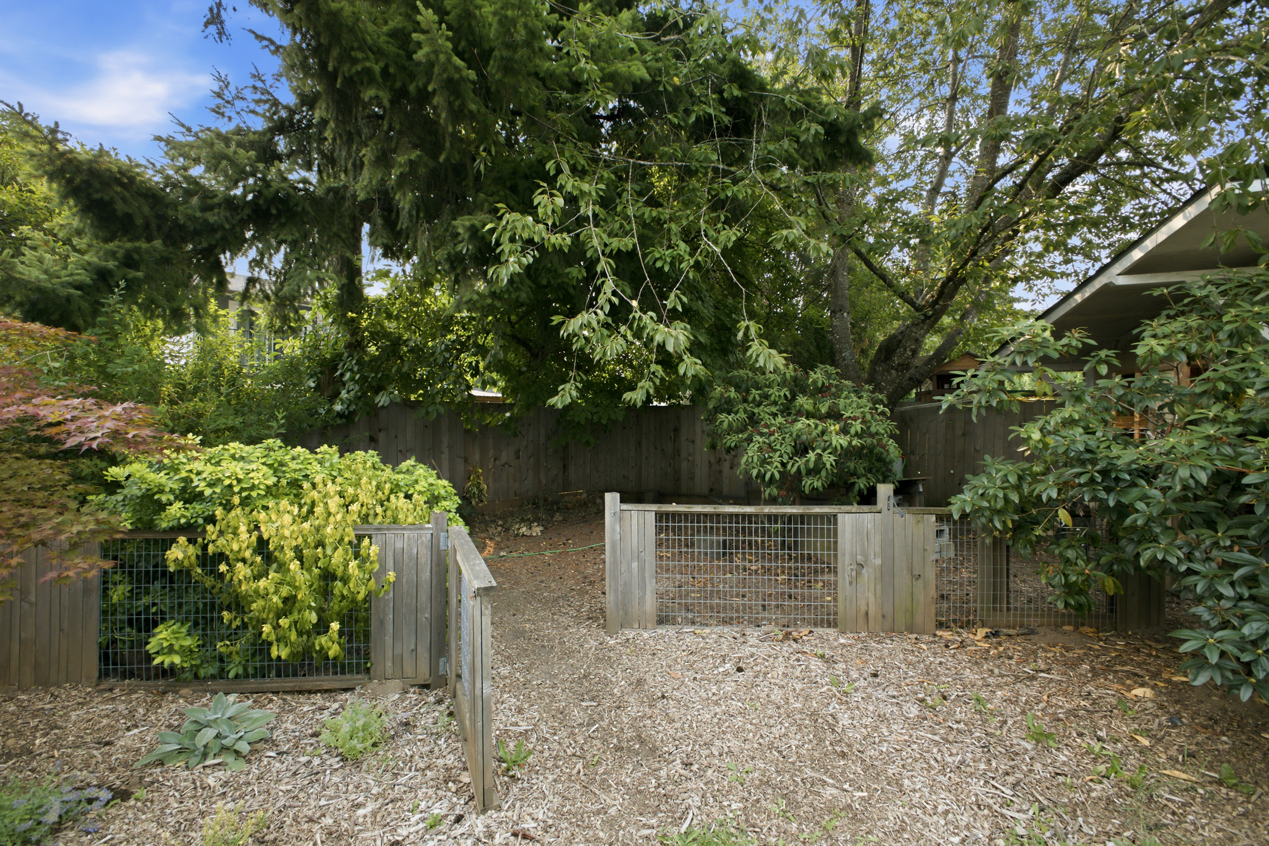 Photo-19
