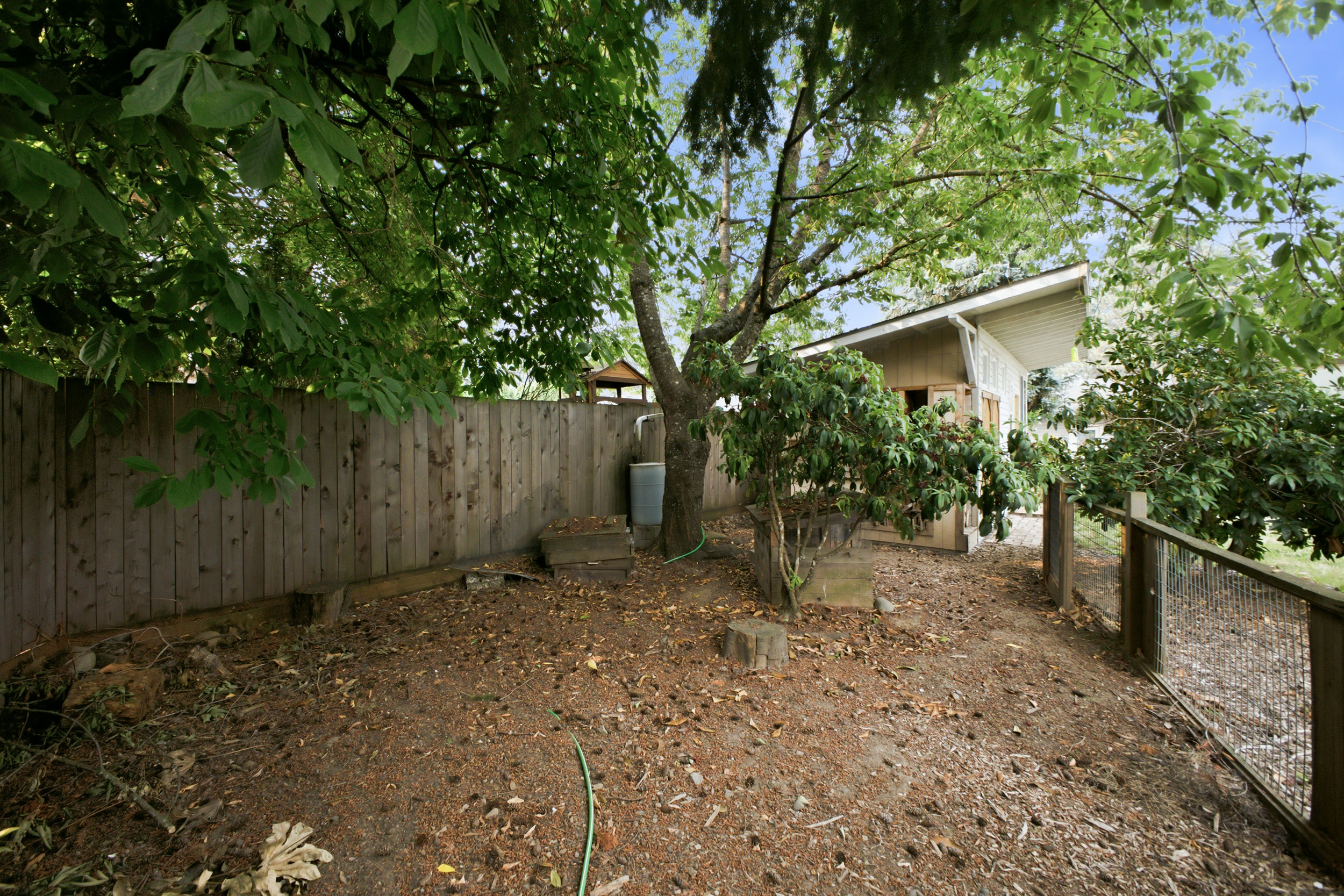 Photo-20